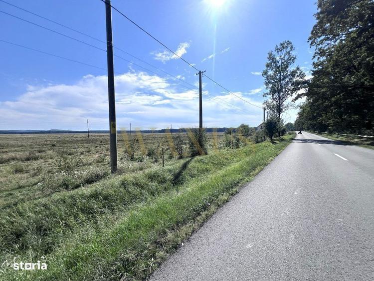 Oportunitate , 3800 mp ! Teren la 10 minute de Centru - 4