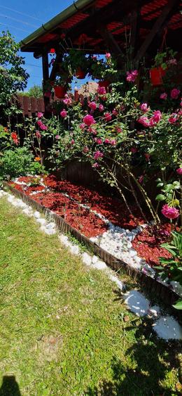 Casa de ?ara de vanzare - 13