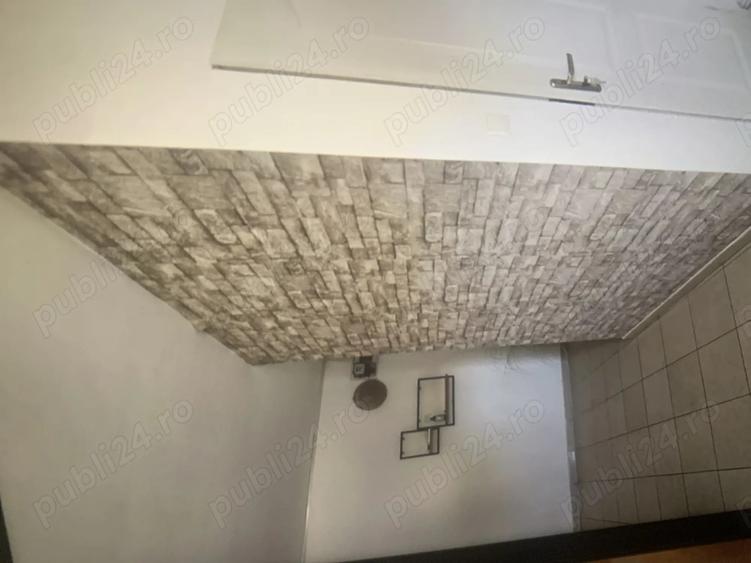 Inchiriere spa?iu comercial - 1