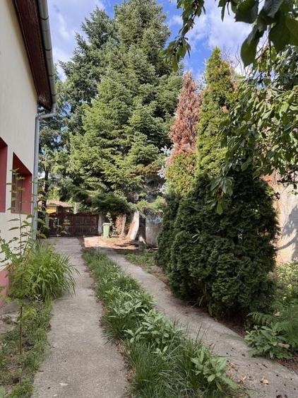 Casa individuala  6 camere de vanzare in Clinceni teren 1000mp - 14