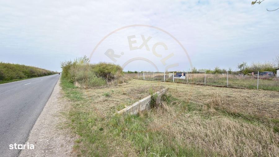 Teren Intravilan 1300 mp / Extravilan 3.700 mp/ DJ 196B Carei (DN 1F) - 1