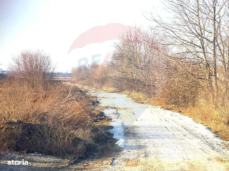 Teren 4.956mp Letea Veche / Calea BARLADULUI - 2