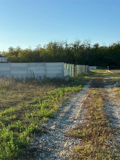 Teren de 590 mp, în Jilava