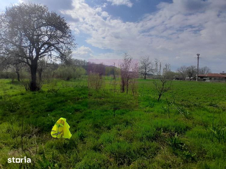 Teren de 3400 mp, în Buturugeni
