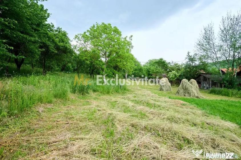 Casă cu 3 camere cu Teren 4696 Mp în Central