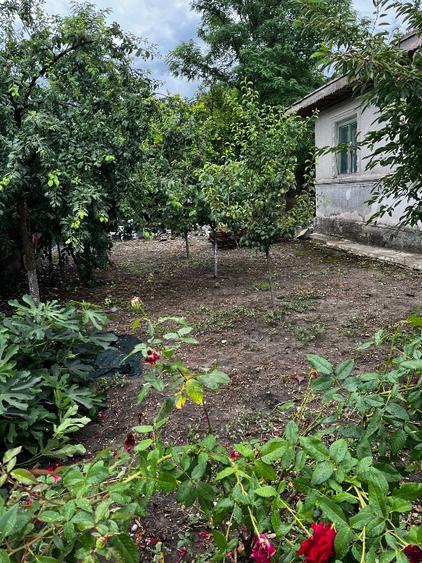 Casă vânzare  - 15