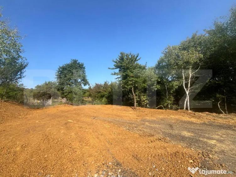 Teren de vanzare in Viisoara - 2