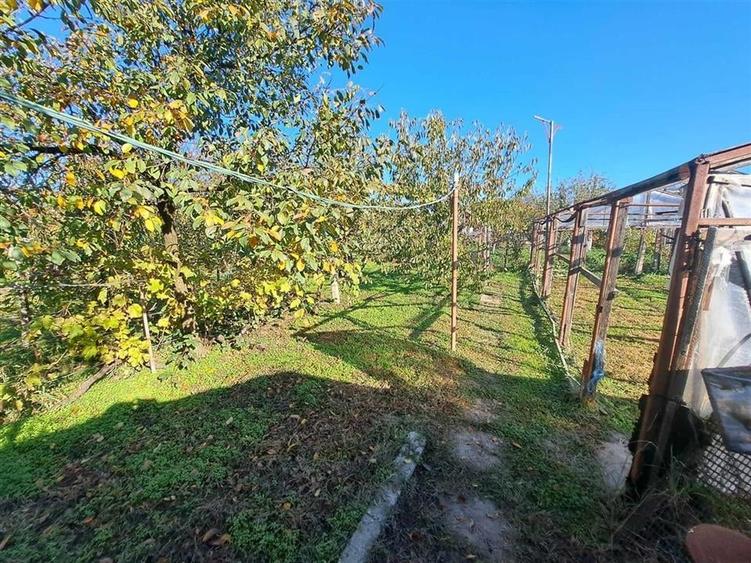 RECO Vila centrala Salonta - 26