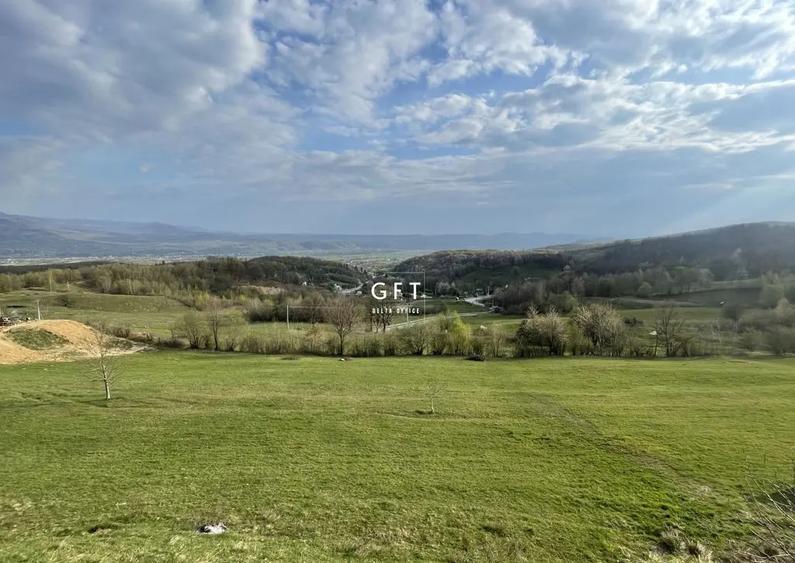 CABANA/PENSIUNE LA 25 MINUTE DE COLIBITA! PLATA IN RATE!!! - 13