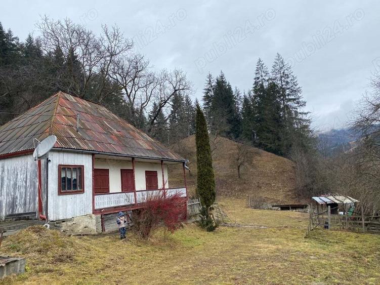 Teren vanzare negociabil - 10