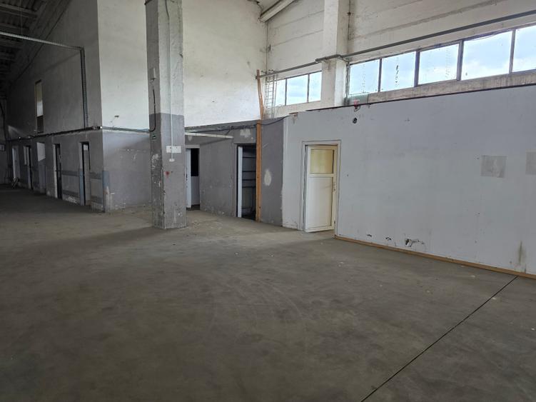 Hala Bartolomeu Brintex - 6