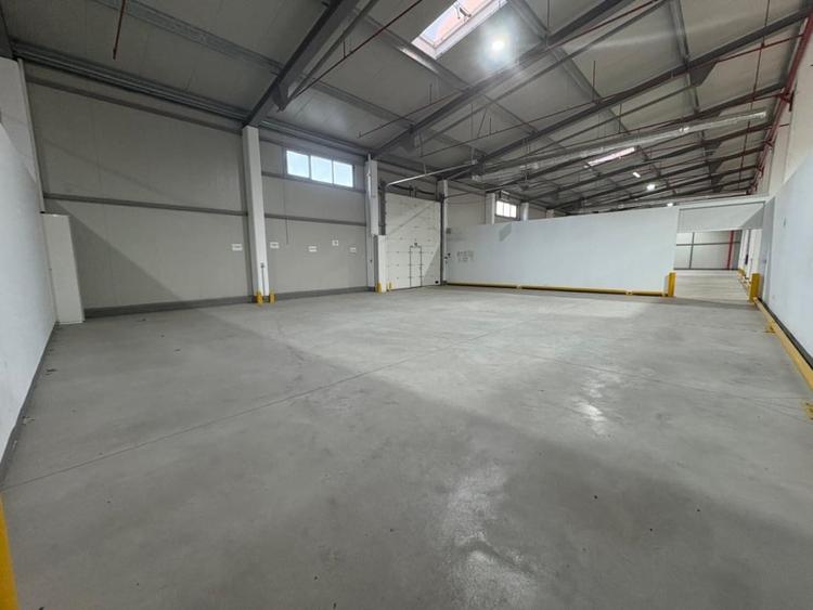 Hală modernă – 1.700 mp, ideală activitate farmaceutica,birouri,depozitare - 3