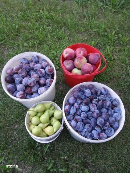 Teren intravilan Sopor - 6