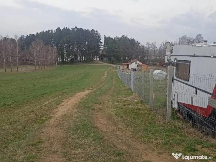 De vanzare terenuri intravilane in Reci - 7