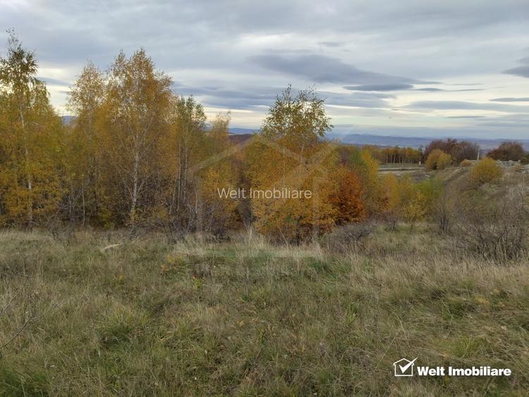 Teren intravilan – Salicea, 971 mp