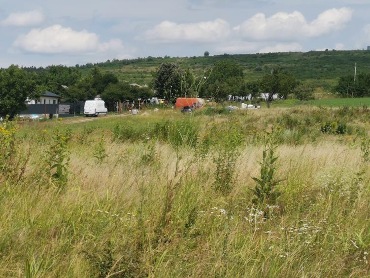 BUCIUM , 6 KM DIN IASI , teren perfect plan , 99.999 % acces pe asfalt - 7