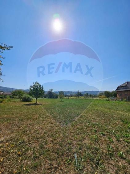 Casa / sura Trestia jud.MM, in suprafata de 116mp / 4000mp de teren - 9