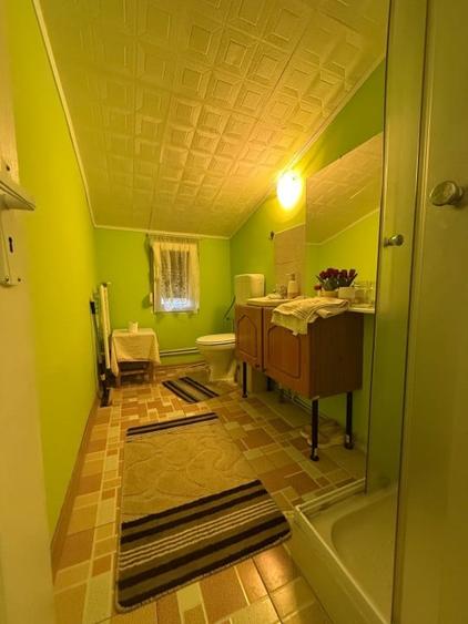 Apartament spatios, 3 camere, cu boxa pentru depozitare si gradina - Iosefin - 6