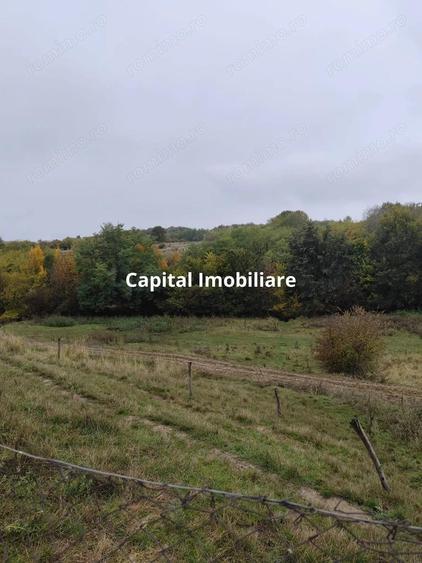 VIla de vanzare Teisani Stubeiu 11250 mp - 5