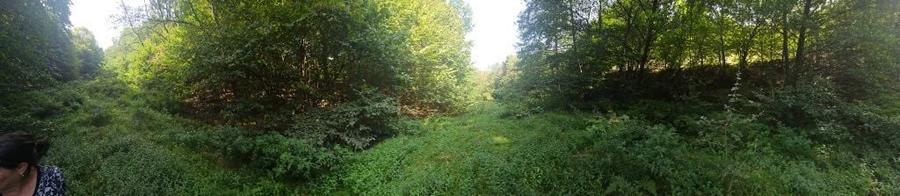 Vand teren Costesti, jud. Hunedoara - 7