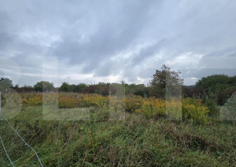 Teren de vanzare, 700 mp, strada Mihai Romanul - 1