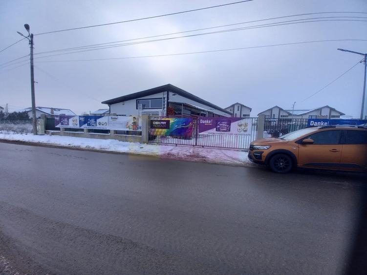 Teren Domnesti de vanzare - 8