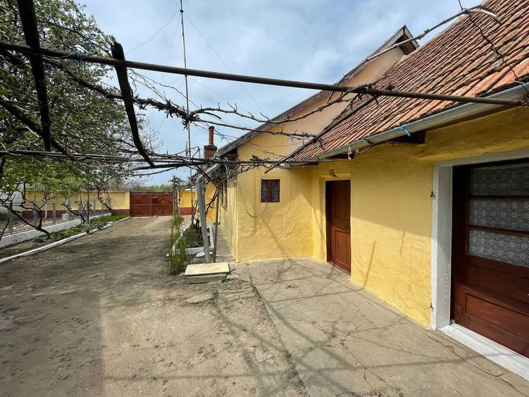 Casa de vanzare Pecica - 2