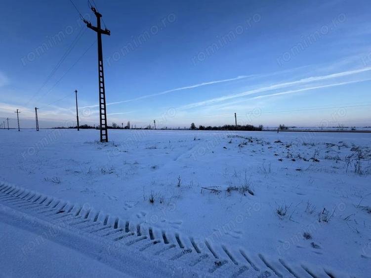 Vand Teren Extravilan Becicherecu Mic(zona industriala) 18.000mp,Utilitati - 4