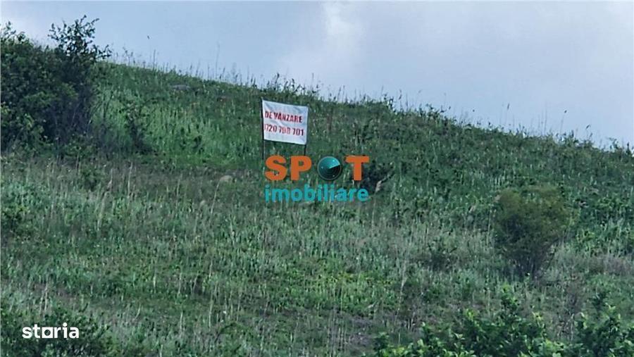 Teren extravilan 2.5 ha investitie ideala, sat Visa - 1