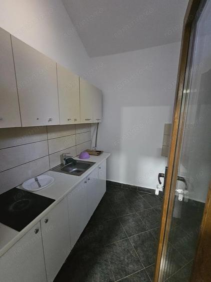 Proprietate speciala Dumbravita - casa individuala !! - 1