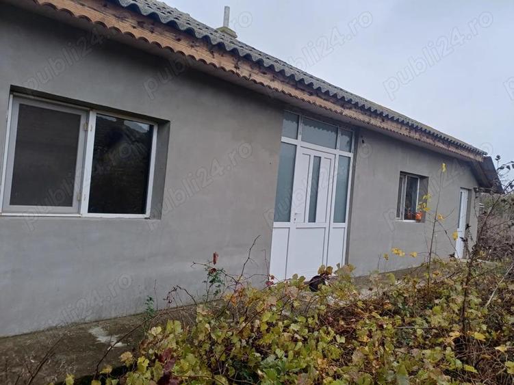 Dau in Chirie Casa Movila - 9