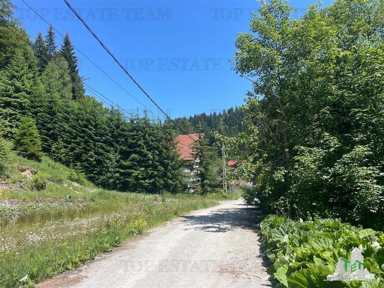 IDEAL INVESTITIE TEREN PREDEAL, 1936 mp intravilan, toate utilitatile, padure - 2