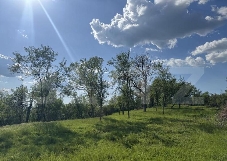 Teren intravilan de vanzare, 15080 mp, zona Tatara?ti - 5