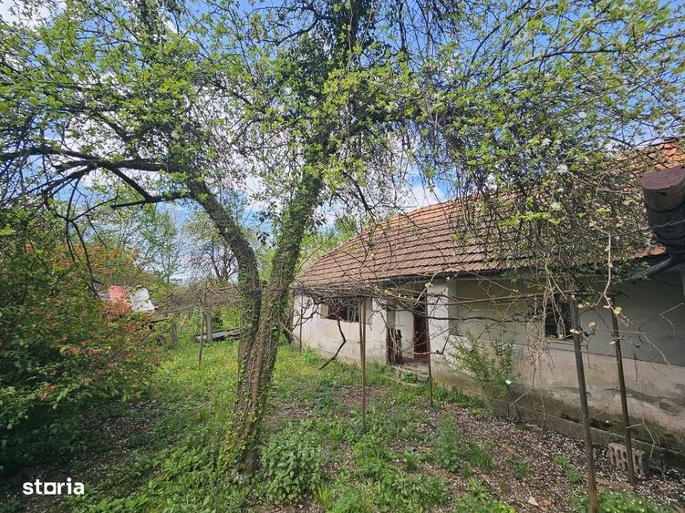 Casă cu 3 camere în Zam