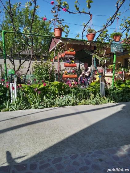 Casa de vanzare - 4