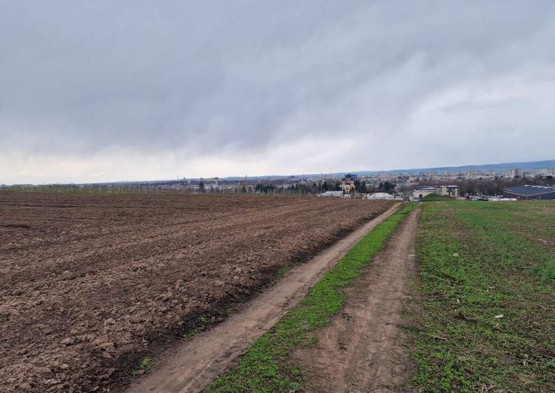 Teren 10,000mp Bacau / Strada Alexandru Safran - 4