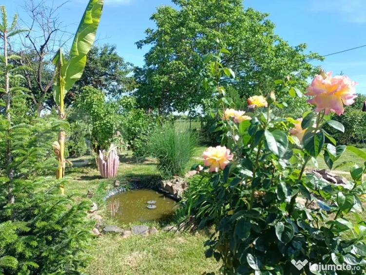 Teren 10 arii extravilan zona Careiului - 4