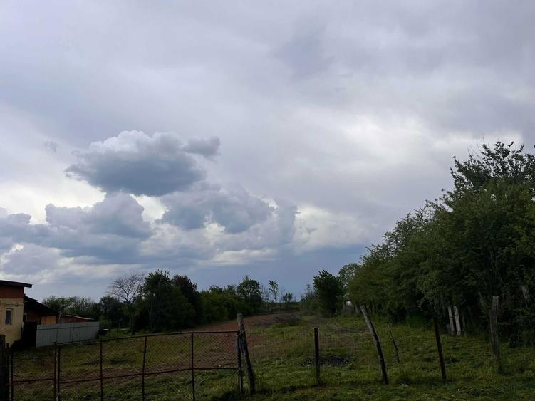 teren de vanzare - 3