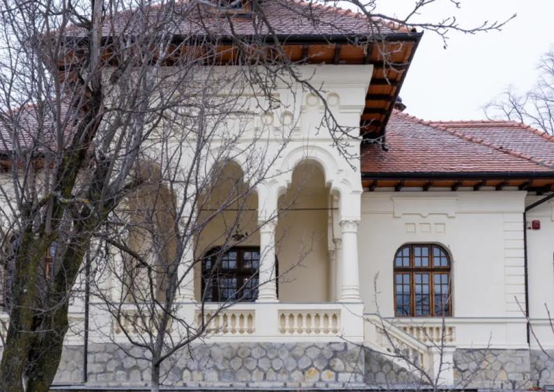 Domeniu fabulos zona Varatec - 1