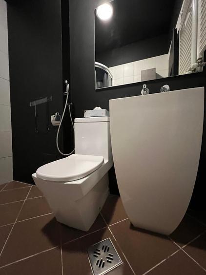 Ferdinand, 100mp, 2dormitoare, centrala - 10