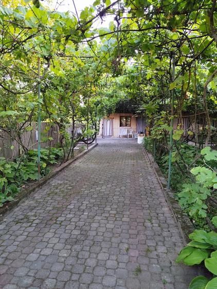 Casa de Vanzare, Sintea Mare, 6 km de orasul Chisineu Cris - 7