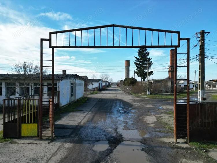 Ansamblu hale 4000mp pe teren 10.000 cu platforma betonata - 10