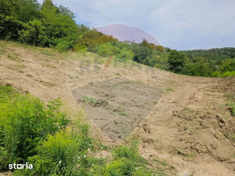Teren intravilan pentru casa din doua parcele a cate 800mp fiecare - 3