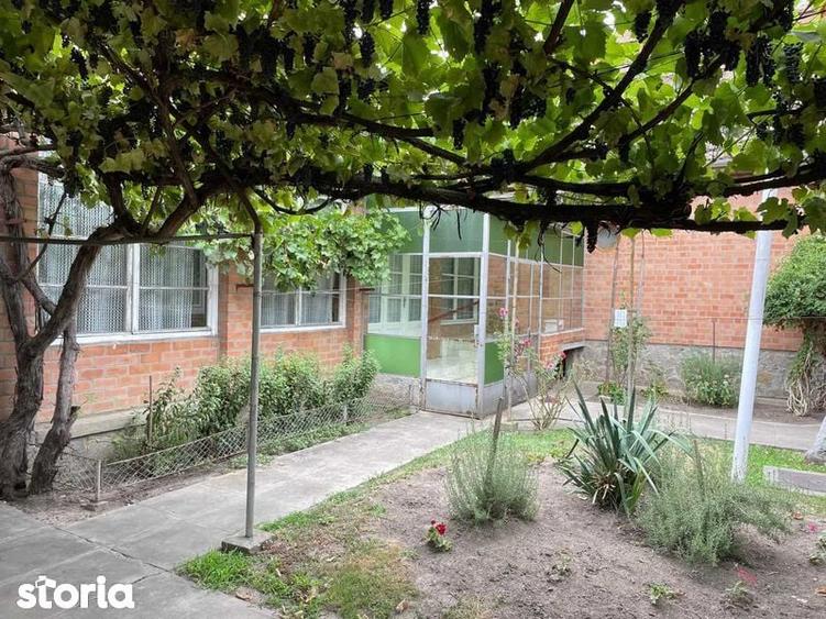 Casa, spatiu comercial, vad comercial, 7000 m2 - 6