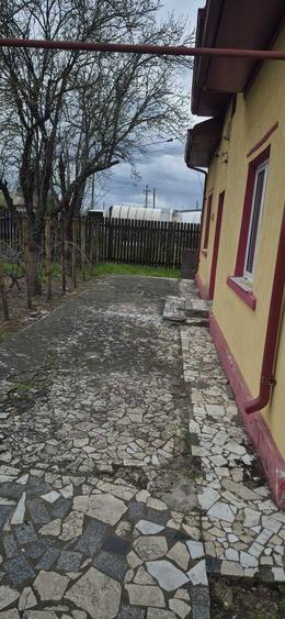 Oferta vand casa si teren 6500 mp in Mogosesti jud.Giurgiu - 3