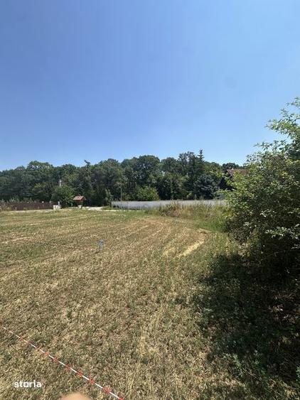 Vila moderna,langa Padurea Snagov, 1min Lidl, 3min A3,20min Bucuresti - 7