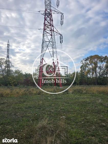 Teren extravilan 150.000 mp de vanzare in Tileagd, Bihor - 2