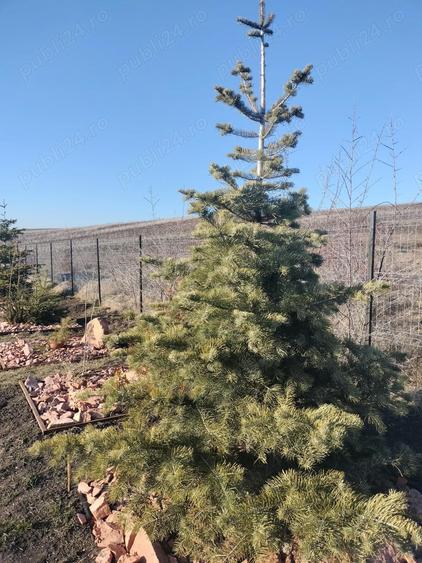 Ofer doritorilor gradina senzoriala de relaxare ?i stat in tihna, Cluj-Napoca - 1