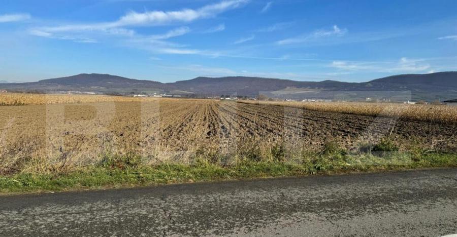 Vand 53 de ari de teren intravilan in Arcalia - 5