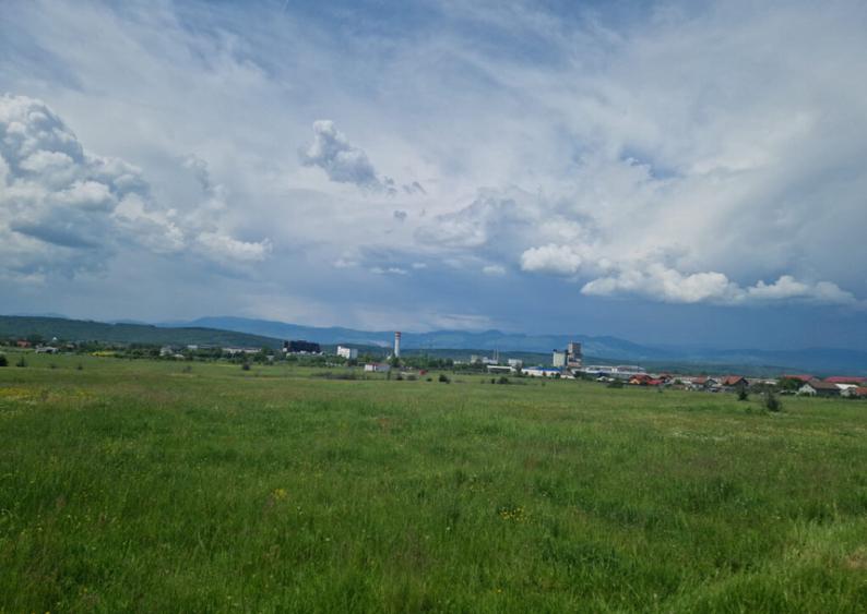 Teren extravilan, str. Ciocarlau - 5